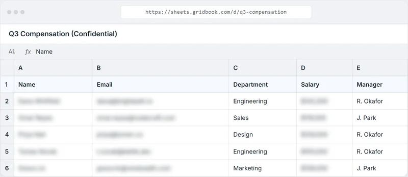 The same spreadsheet with names, emails, and salaries blurred